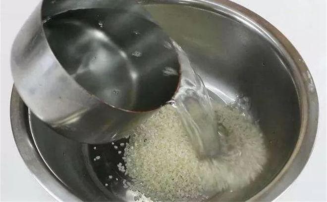 淘米水是氮肥还是磷肥？