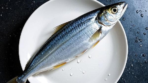 尿酸高可以吃河鱼及淡水鱼吗？这份饮食指南请收好
