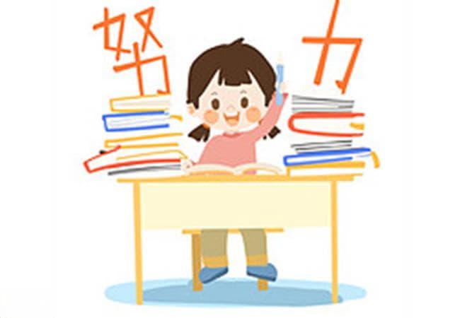 新高考政策解读