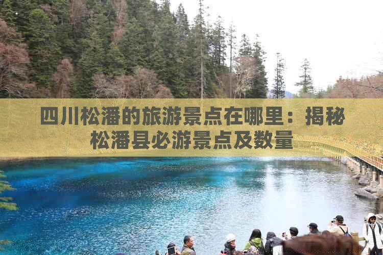 四川松潘的旅游景点在哪里：揭秘松潘县必游景点及数量