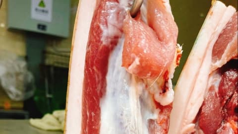 牛肉与猪肉能一起吃吗