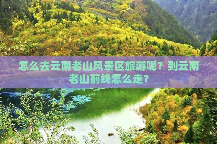 怎么去云南老山风景区旅游呢？到云南老山前线怎么走？