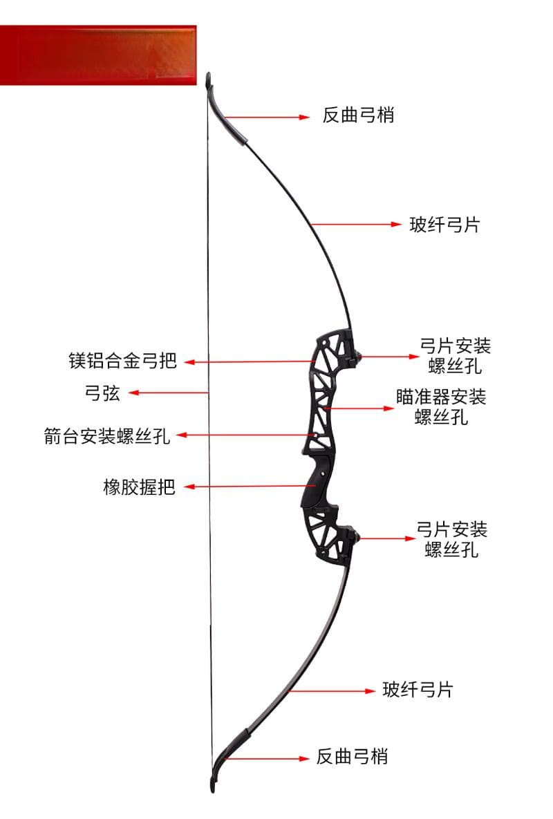 反曲弓使用与保养全攻略：从结构到存放的实用指南