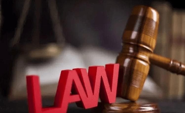 在法律边缘行走：吃透法律是否意味着可以做坏事？