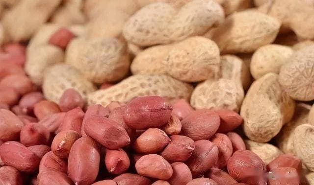 春花生怎么提高出苗率到95%以上，播种前种子把握好这4步操作