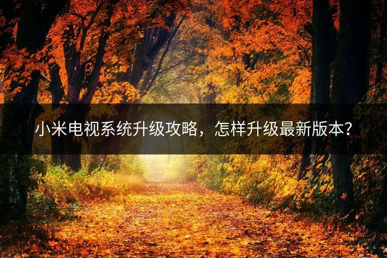 小米电视系统升级攻略，怎样升级最新版本？