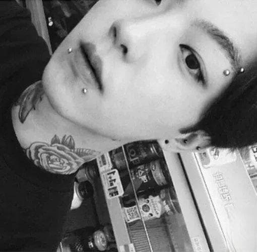 蝴蝶如何破茧成蝶：一场生命的奇迹