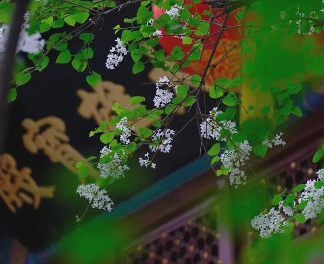 中国最美的十大名诗：从《诗经》到元曲，十首诗诠释千年诗意之美