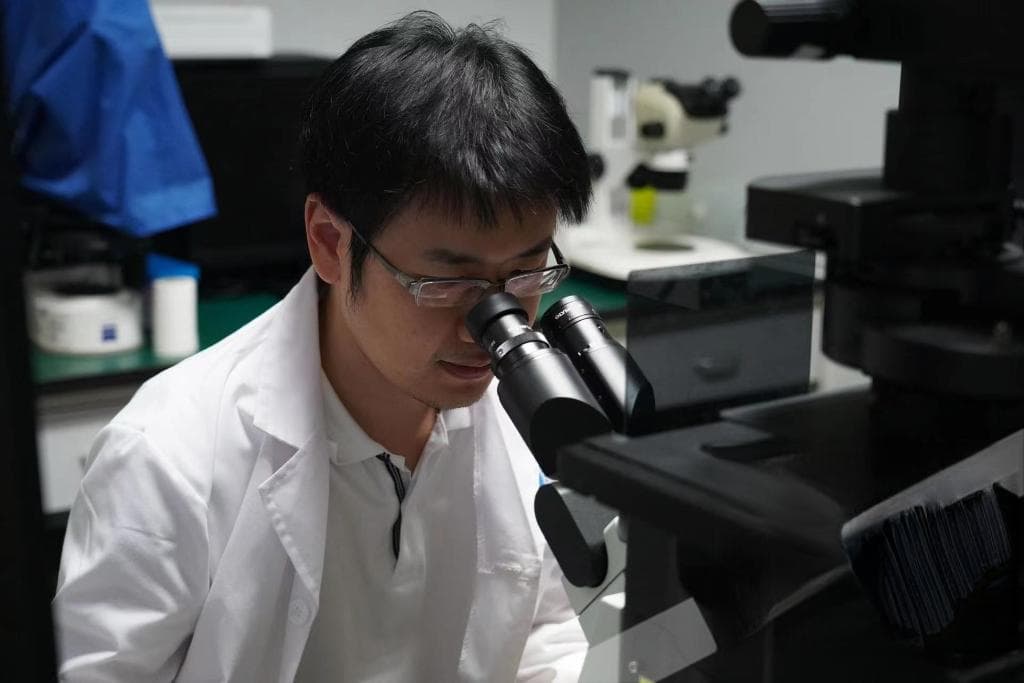 全球首次！西南大学科研团队揭示鲨鱼性染色体局部剂量补偿机制