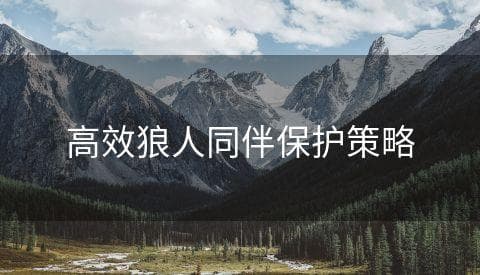 高效狼人同伴保护策略