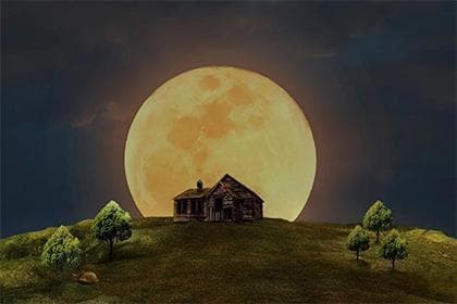火象星座：为何称之为炮仗,火象星座特点