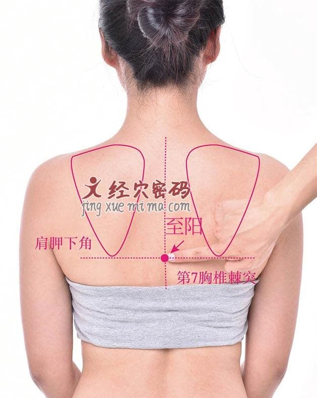 至阳穴：位置、功效与临床应用详解