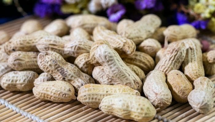花生核桃食谱：四款美味又健康的坚果甜点