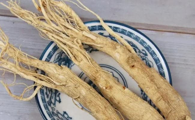 白参的功效与禁忌：这味珍贵药材的全面解析