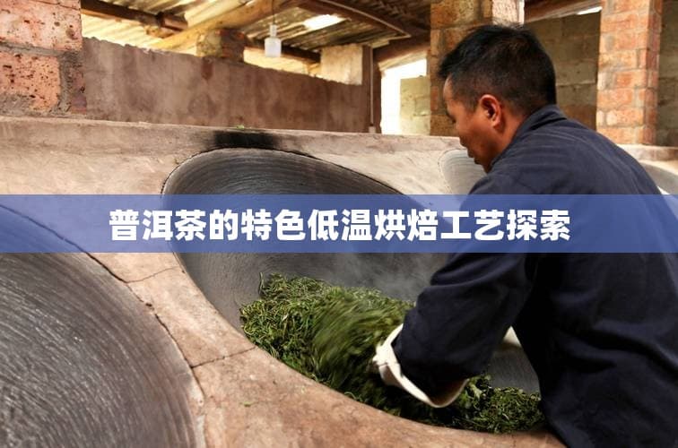 普洱茶的特色低温烘焙工艺探索