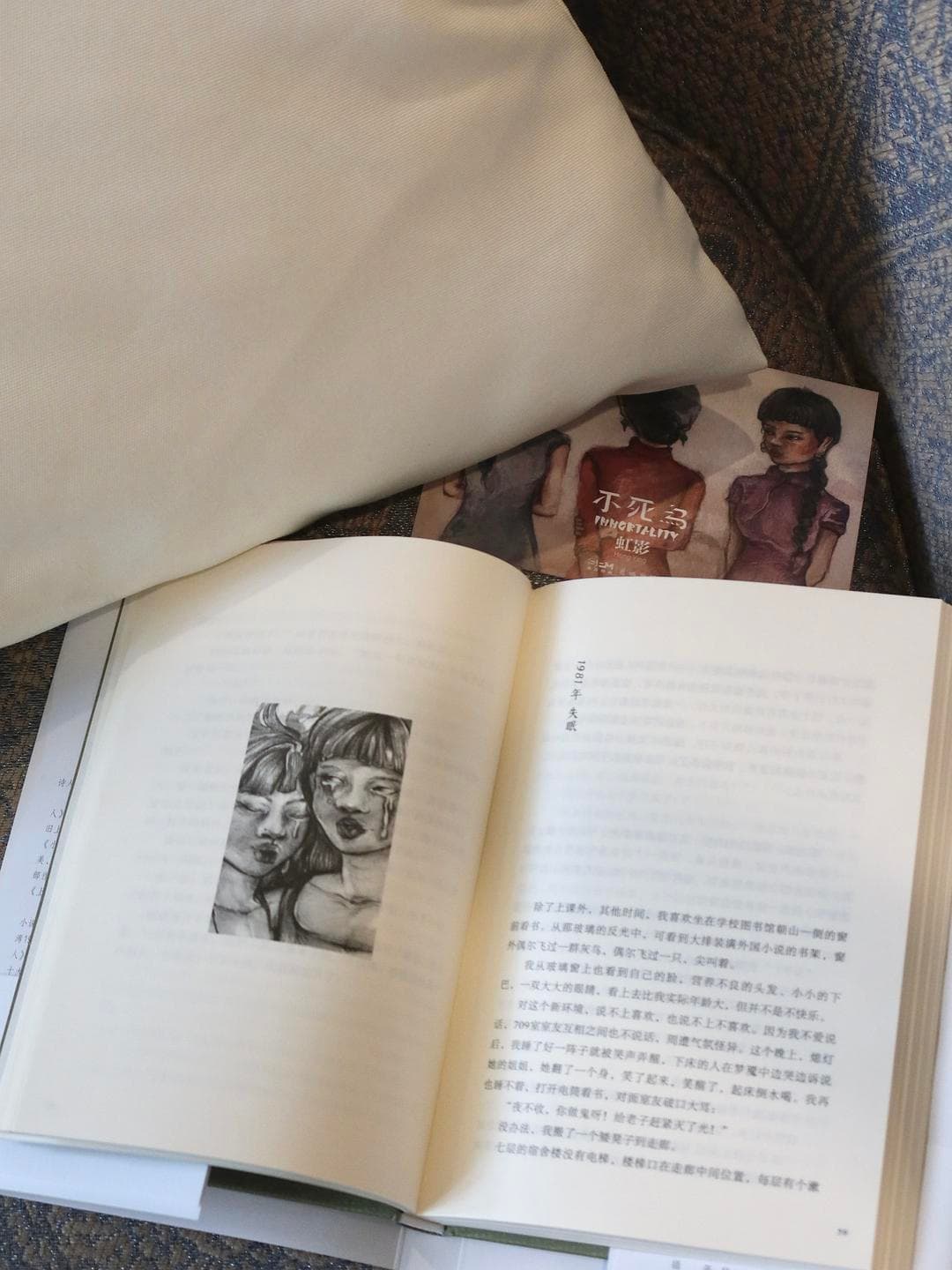 那支古怪的笔破云穿越——读虹影新作《不死鸟》