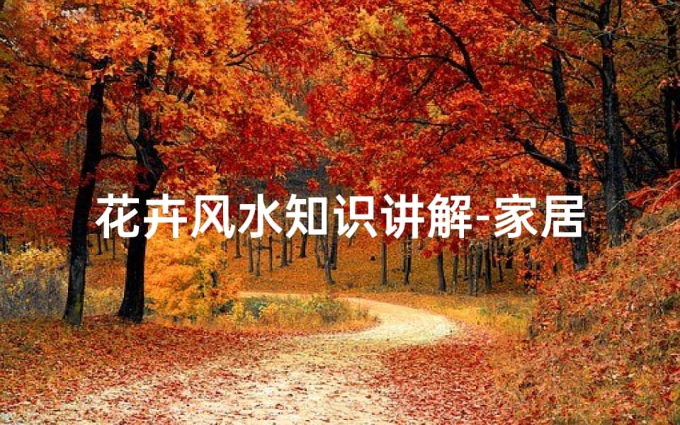 花卉风水知识详解：家居摆放技巧与寓意