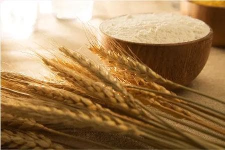 精制面粉比普通面粉质量好？修订后的小麦粉国家标准帮你解答
