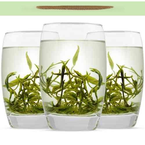 探究茶多酚对脂肪分解作用的科学解析