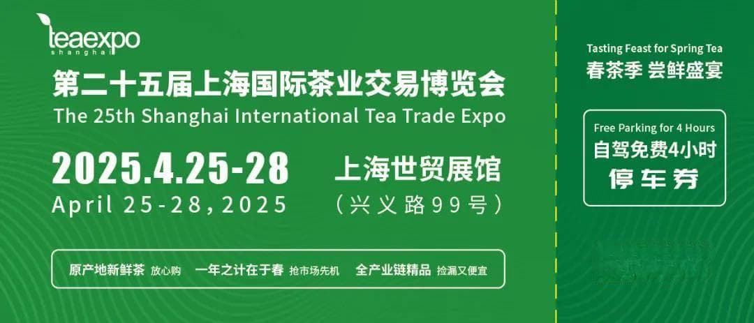每天3杯绿茶，竟能减少大脑病变！揭秘喝茶的七大好处