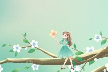 乌丝檀木和黄檀木哪种好？