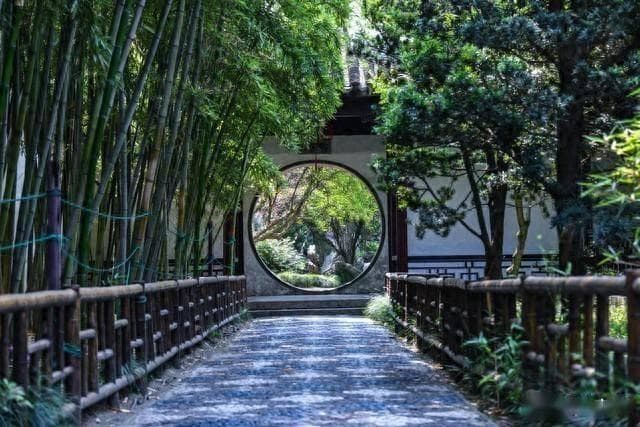 苏州和杭州，哪个更适合去旅游？