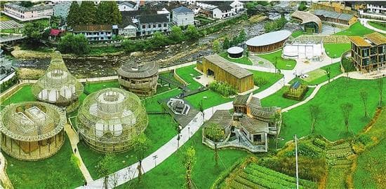 一根竹子的"十八般武艺" 浙江布局"以竹代塑"新赛道
