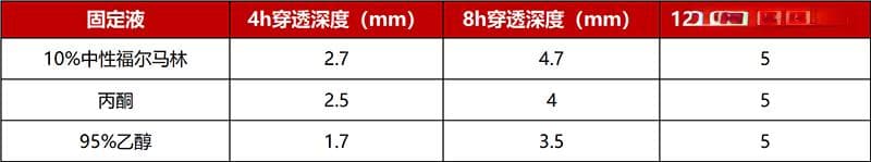 【病理干货】组织湿标本处理流程及HE常见问题解析