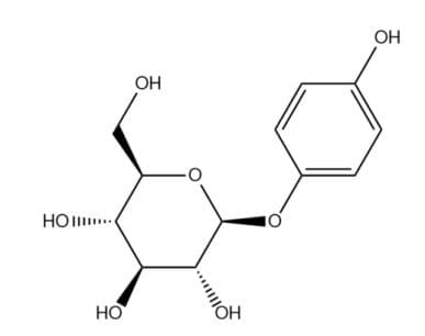 美白的关键影响因素--酪氨酸酶  酪氨酸酶与黑色素生成之间的关系