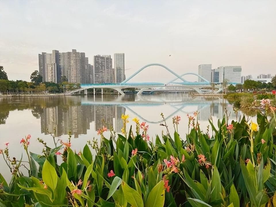 广州“最有发展潜力”的郊区，地处大湾区核心位置，你看好吗？