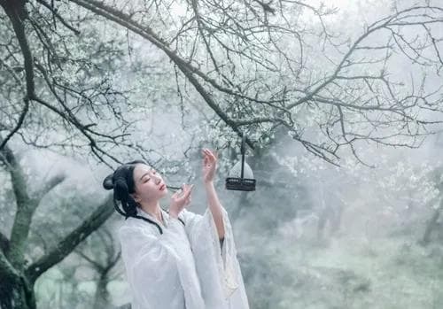 紫微星为什么被很多人喜欢 为何很多高人不敢说紫微星