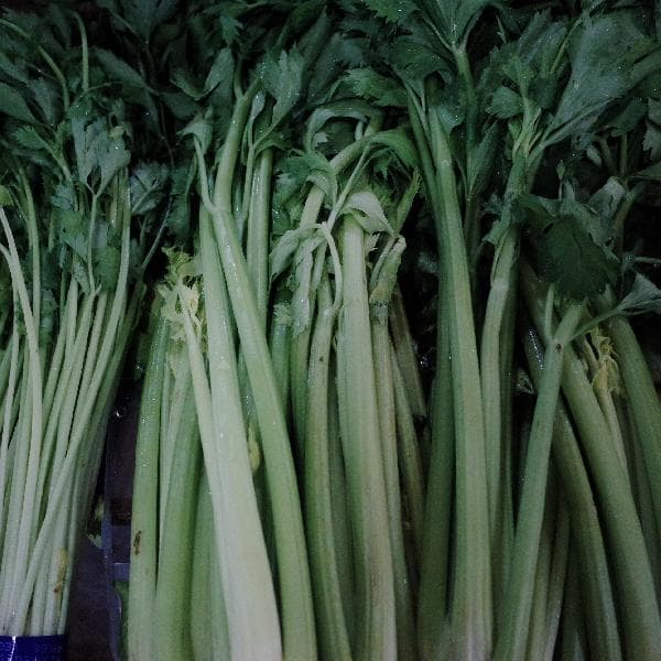 糖尿病患者每天应摄入300-500克蔬菜，这样吃更健康
