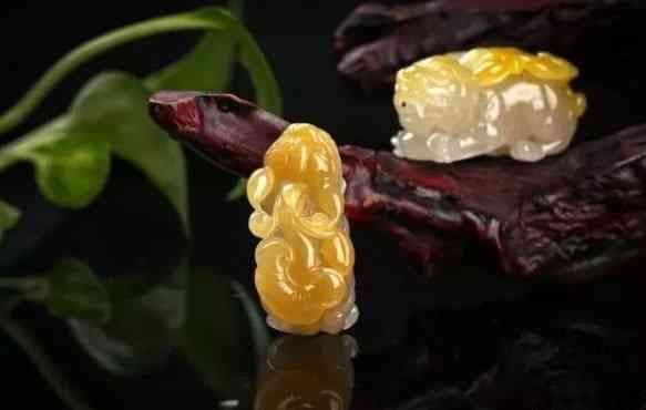 貔貅与金蝉：寓意、象征、用途以及如何选购和保养它们的全方位指南