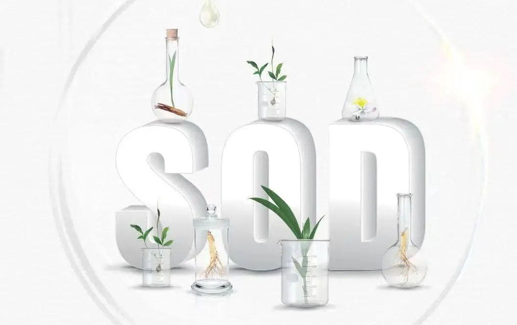 SOD：人体抗氧化第一道防线，揭秘其与寿命关系