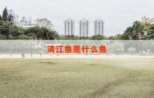 清江鱼是什么鱼？全面解析清江鱼的种类与特点