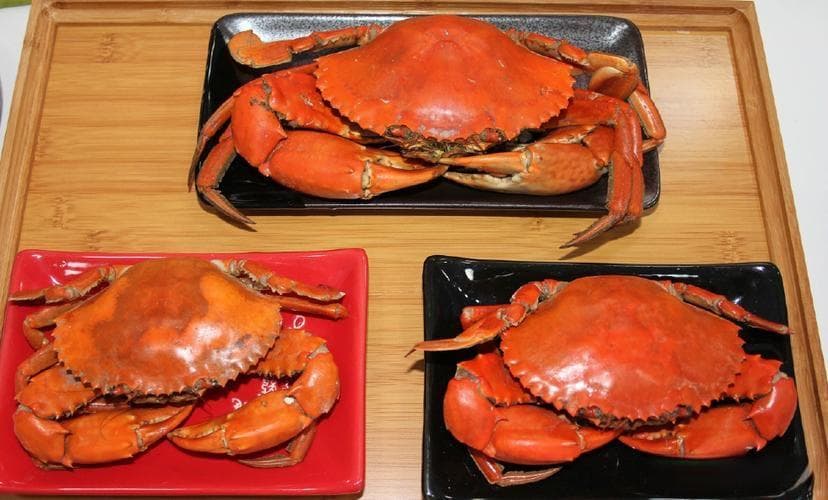 中西合璧的聚餐菜单设计指南