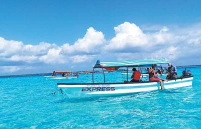 非洲国家积极挖掘旅游业增长潜力