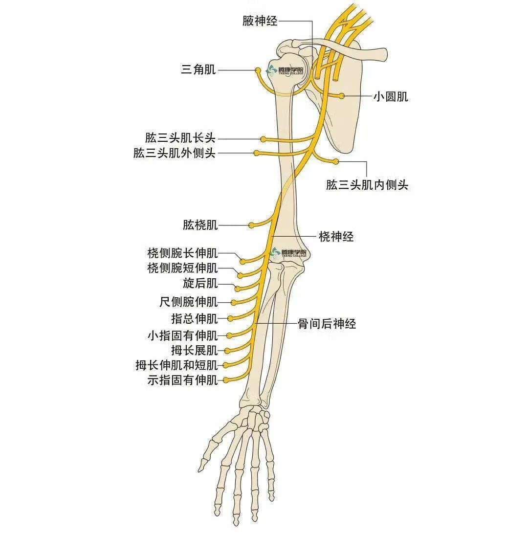 手指麻木的6种病因