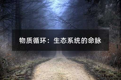 物质循环：生态系统的命脉