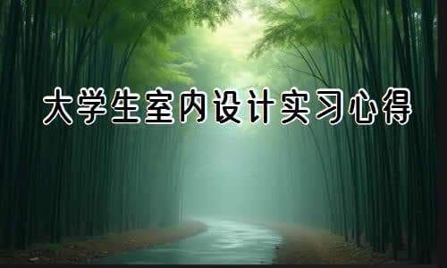 大学生室内设计实习心得体会（精选3篇）