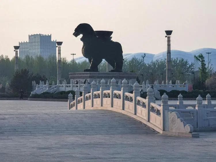 沧州市哪个区县市最富？沧州市各区县市经济实力排名