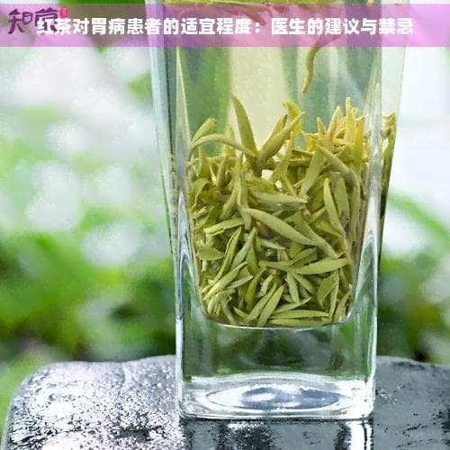 胃病患者能否饮用红茶？医生的专业建议来了