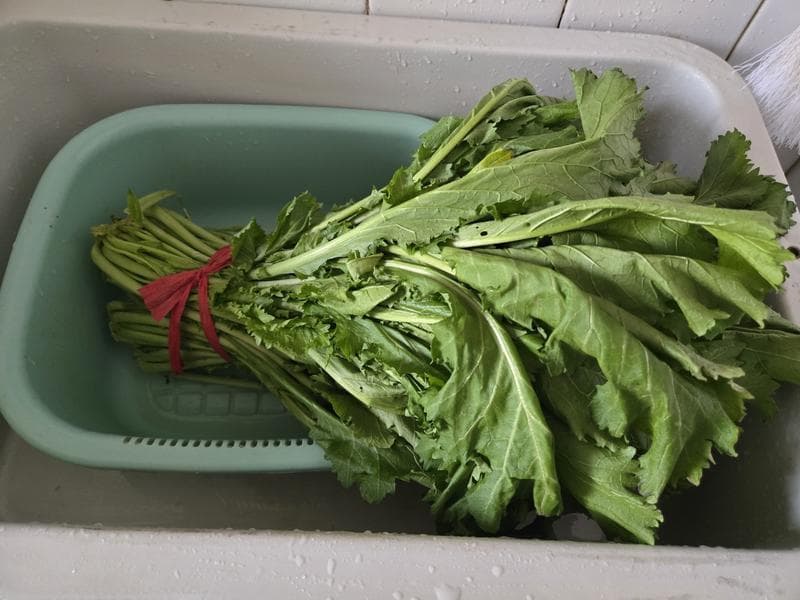 腌雪里蕻：详细步骤与注意事项