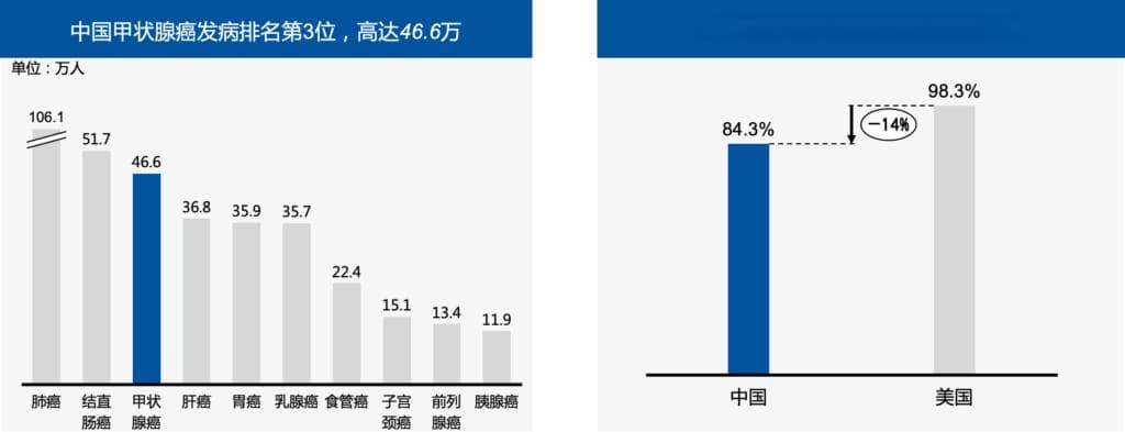 智核生物新药获批上市！填补国内分化型甲状腺癌治疗空白