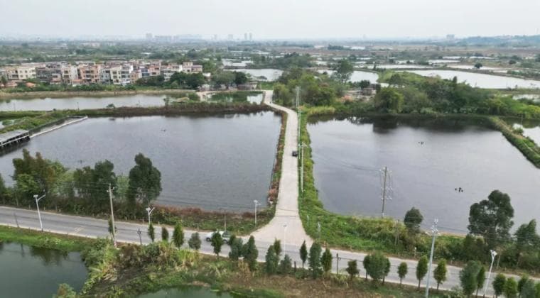 增设交通设施、老旧小区改造……肇庆这些民生实事，与你息息相关