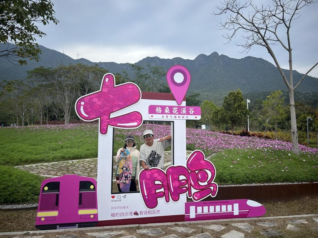 格桑花开，灿烂成海！大鹏坝光打卡地