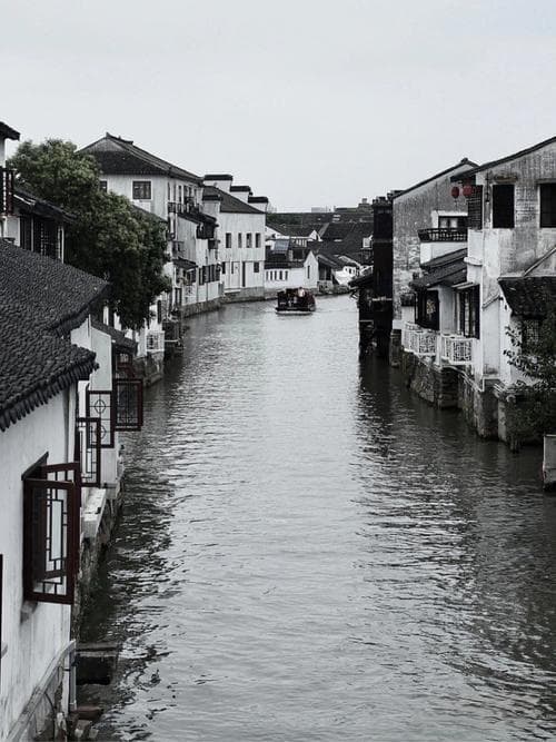无助时的心理策略：寻找支持系统的重要性