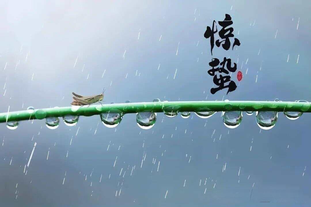 惊蛰时节，这些关于安宫牛黄丸的误区你一定要知道