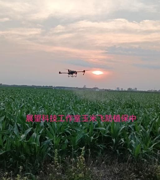 科技赋能农业：无人机飞防守护南阳万亩良田