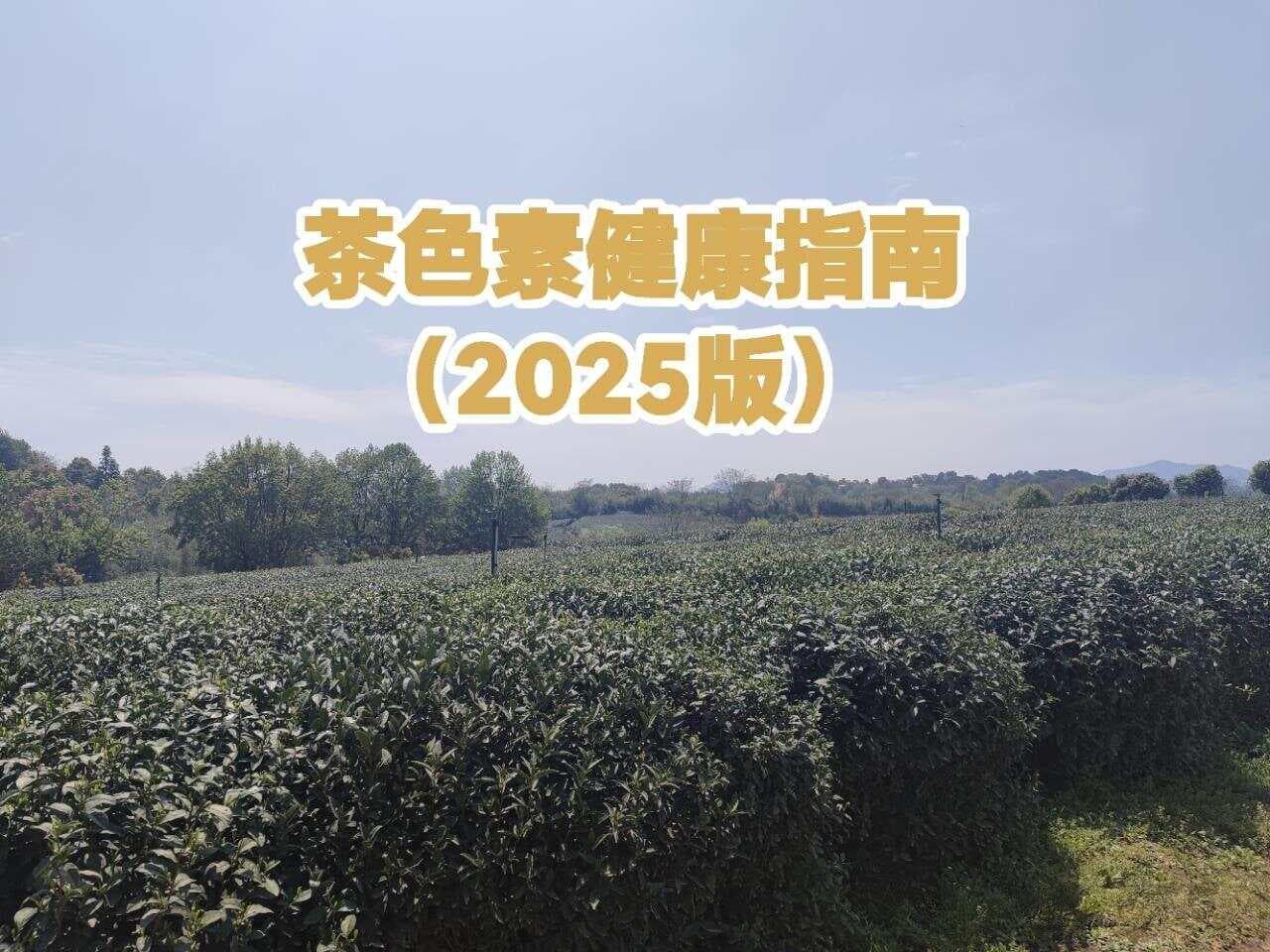 茶色素健康指南：科学认知与生活实践（2025版）